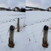 Wie viele Fehler findest Du? - Foto: Birgit Blosat
